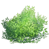 Bush icon