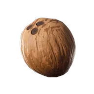 Coconut icon