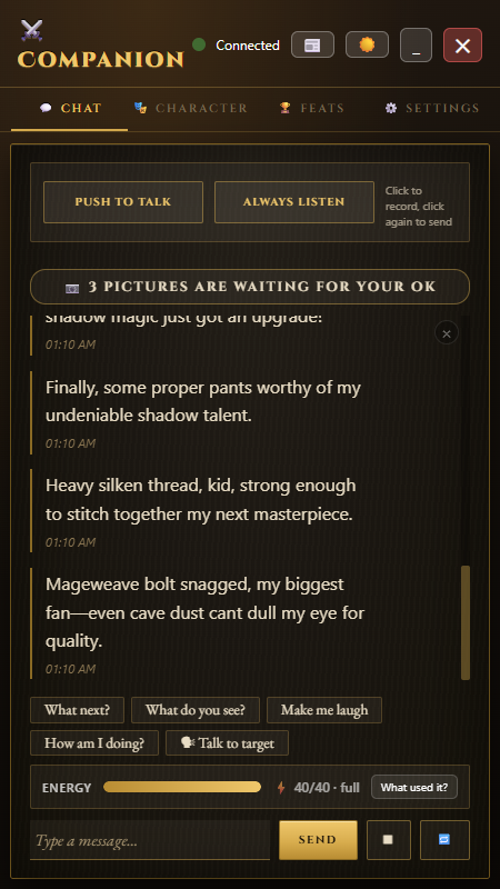 The Chat panel